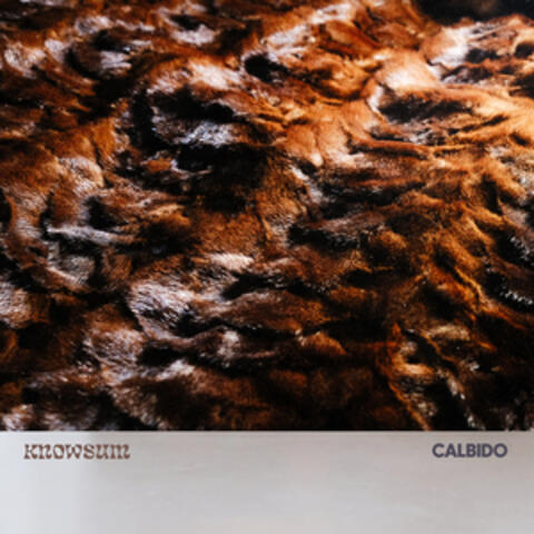 Calbido album art