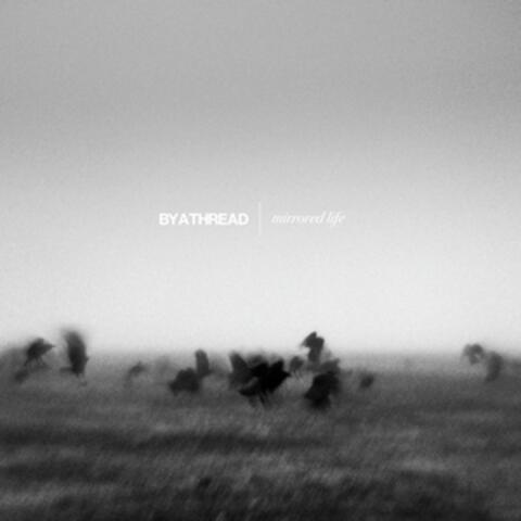 Mirrored Life album art