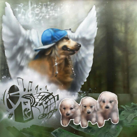 iNUiNUiNU album art