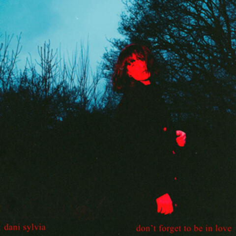 don't forget to be in love album art