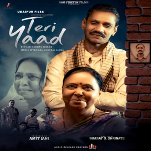 Teri Yaad (From "Udaipur Files") album art