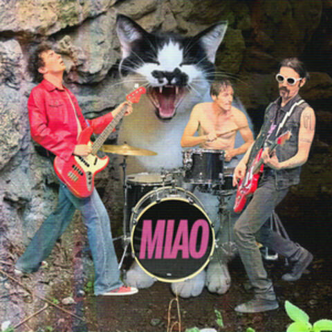 Miao album art