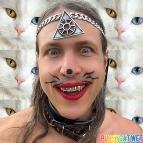 PussyCat Wet album art