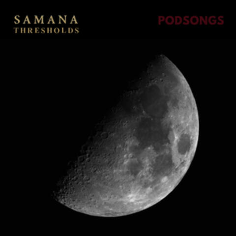 Thresholds album art