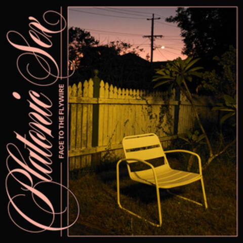 Face To The Flywire album art
