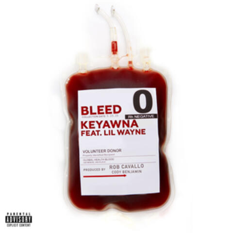 Bleed album art
