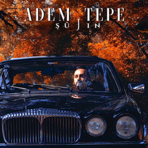 Şûjin album art