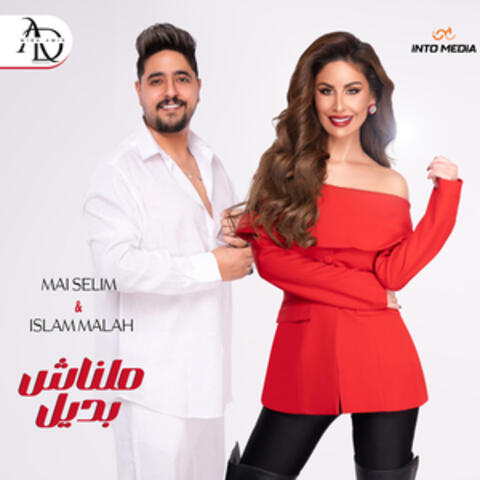 مالناش بديل album art