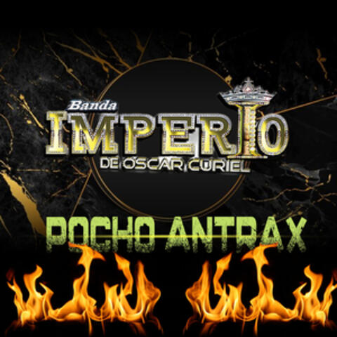 Pocho Antrax album art