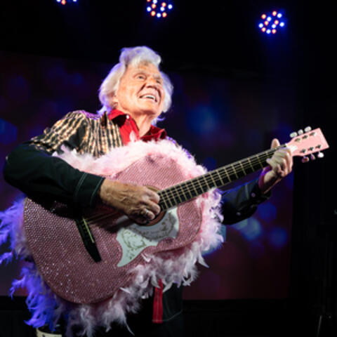 Rhinestone Pink Guitar album art