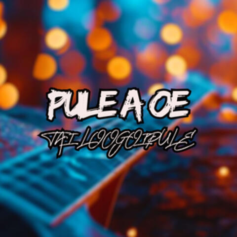 PULE A OE album art