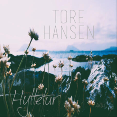 Hyttetur album art