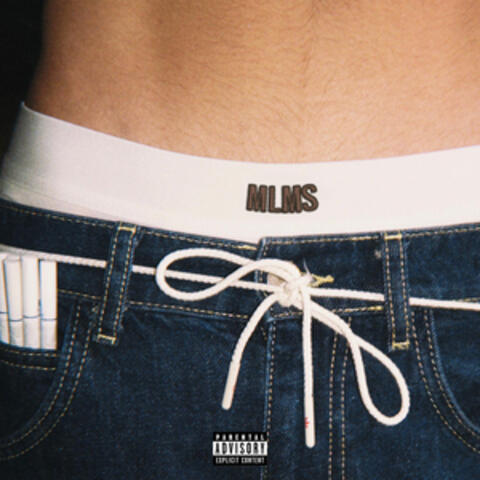 Make Lives Make Sense album art