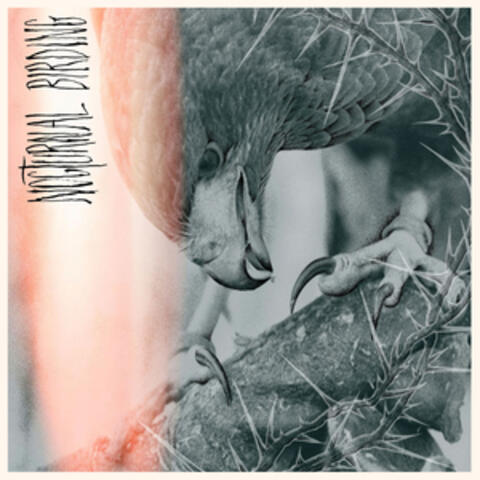 Titanis album art