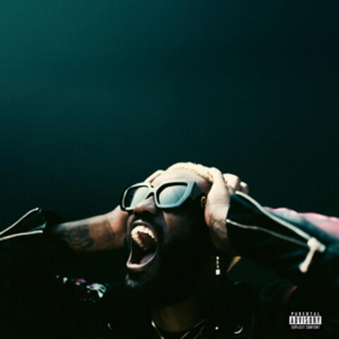 FMLU album art