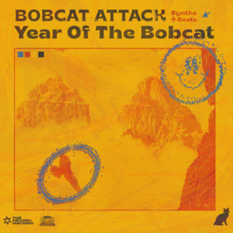 Year Of The Bobcat album art