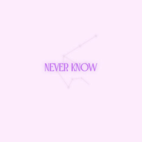 Never Know album art