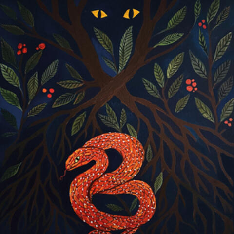 bonfabulis album art