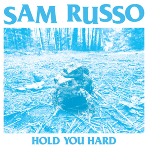 Hold You Hard album art