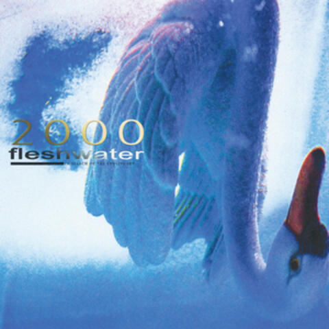 2000: In Search Of The Endless Sky album art
