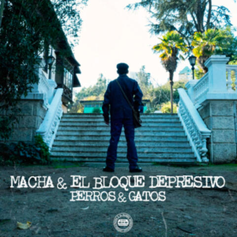 Perros y Gatos album art