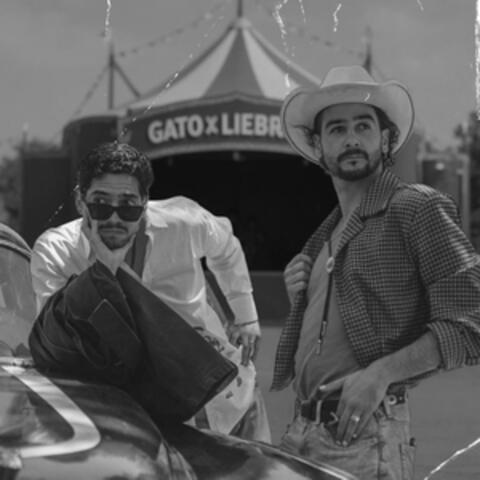 Gato x Liebre album art