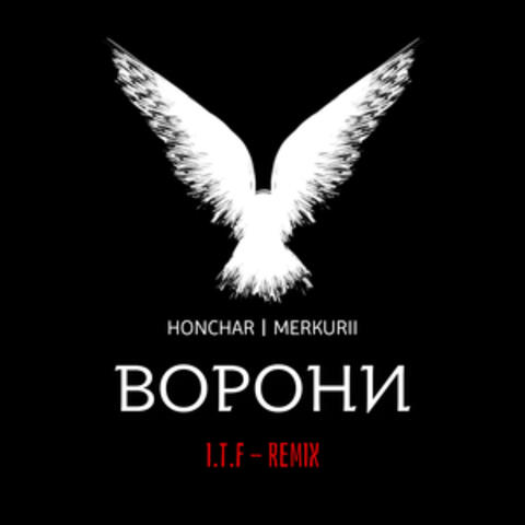Ворони album art