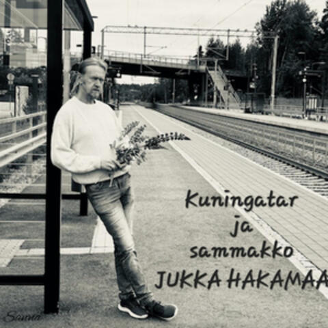Kuningatar ja sammakko album art