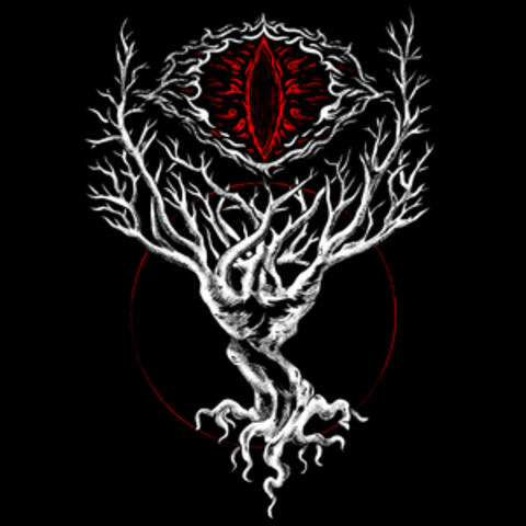 The New Shadow album art
