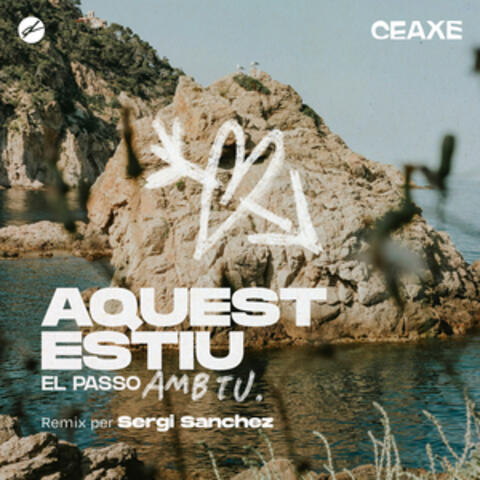 AQUEST ESTIU EL PASSO AMB TU album art