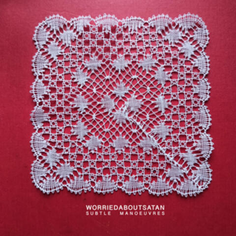 Subtle Manoeuvers album art