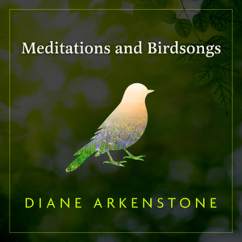 Meditations and Birdsongs album art
