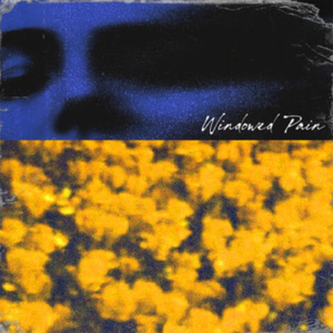 Windowed Pain album art