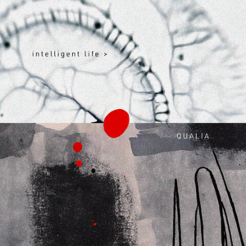 Qualia album art