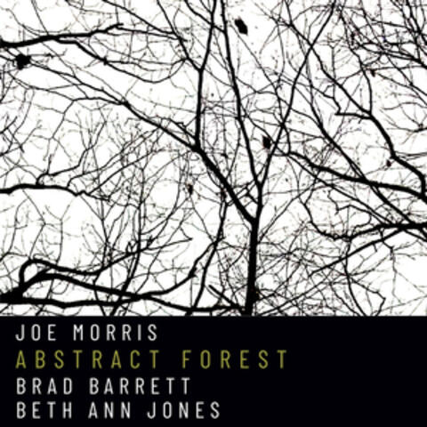 Abstract Forest album art