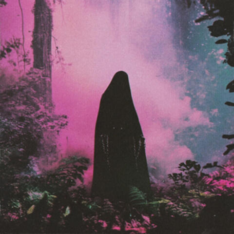 Letdown / Misery Loves Company album art