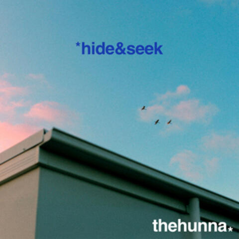 hide & seek album art