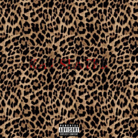 Kat Slater album art
