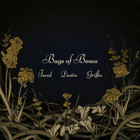 Bags of Bones album art