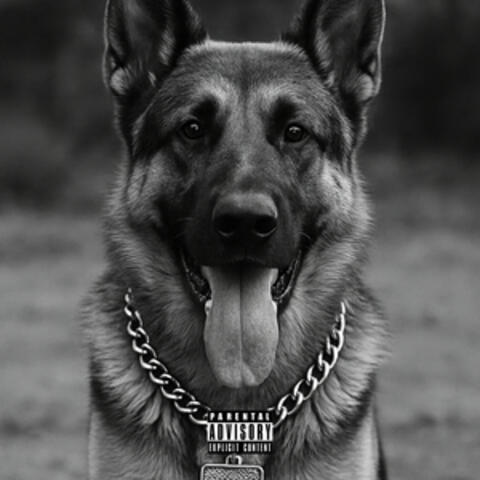 19 album art