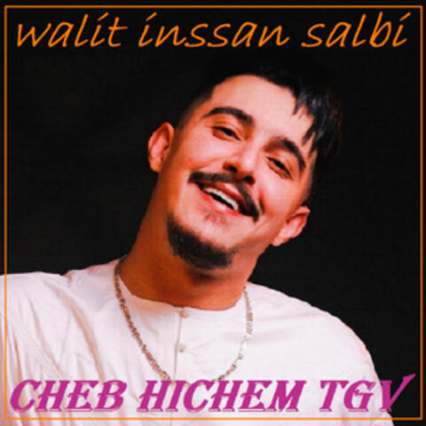 Walit inssan salbi album art
