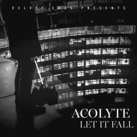 Let It Fall album art