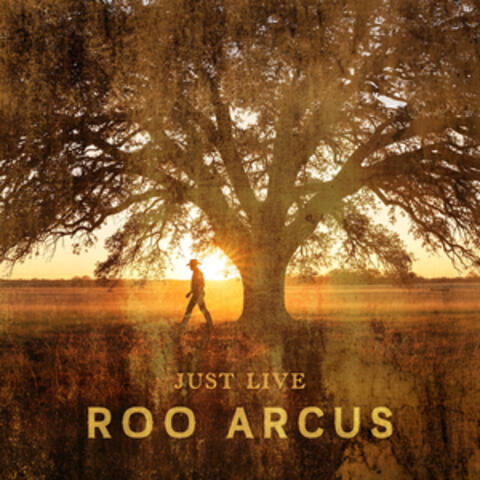 Just Live album art