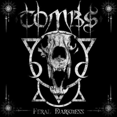 Feral Darkness album art