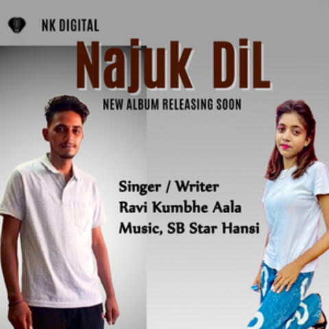 Najuk Dil album art