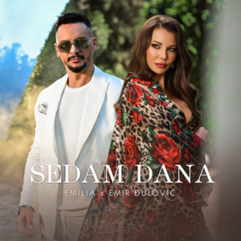 Sedam Dana album art