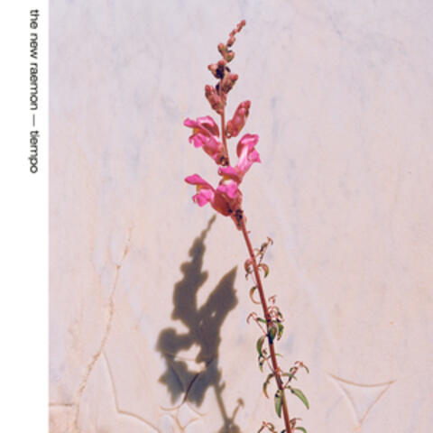 Tiempo album art
