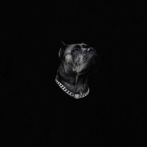 CULLINAN album art