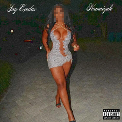 Fine Shyt album art