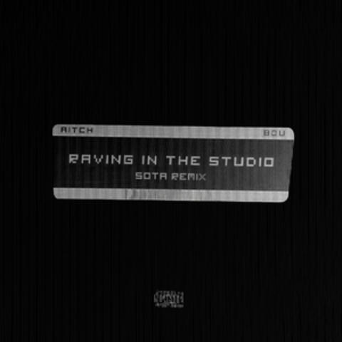 Raving In The Studio album art